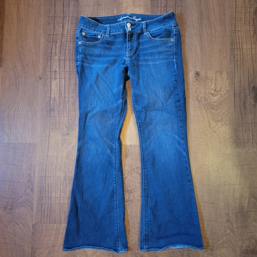 American Eagle Artist Jeans size 10 short